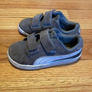 Pumas